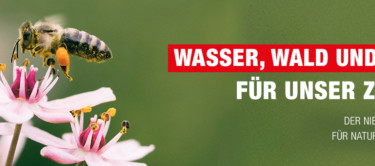 Bild einer Biene auf einer Blüte als Symbol für den Niedersächsischen Weg